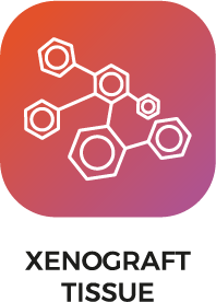 Xenograft Tissue Logo